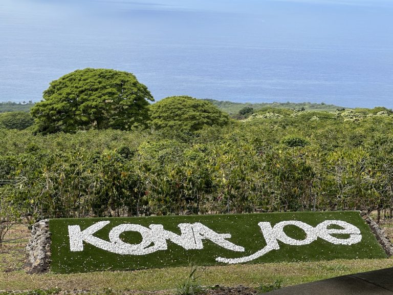 Can You Tour a Kona Coffee Plantation?